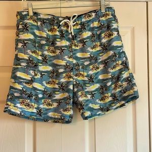 Swim Trunks Bathing Suit Paisley & Gray Mens Swim Trunks.